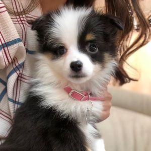 Meet your Posher, Esther